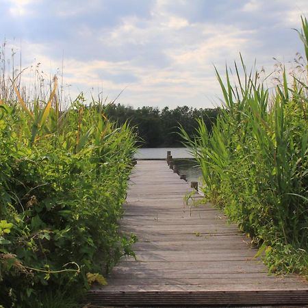 Moderne Und Helle Ferienwohnung Am Ploener See Bosau Zewnętrze zdjęcie