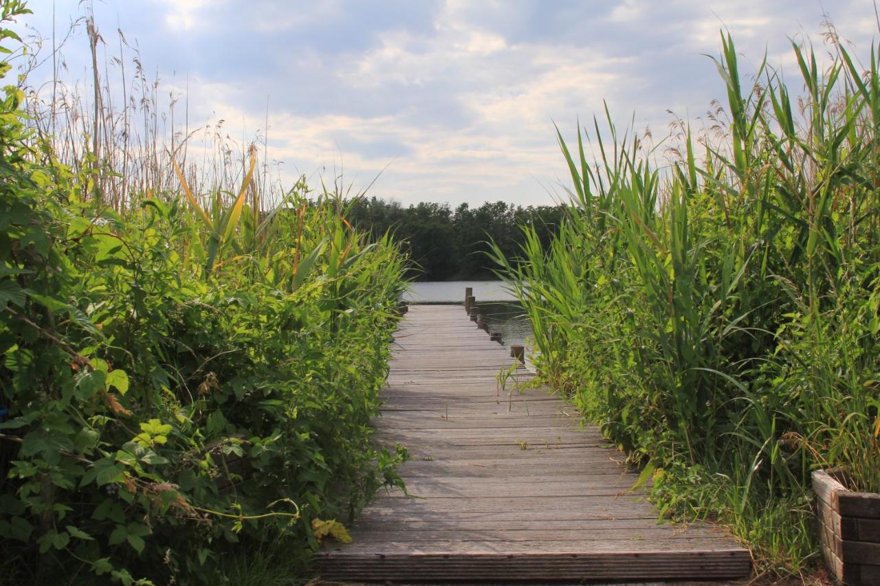 Moderne Und Helle Ferienwohnung Am Ploener See Bosau Zewnętrze zdjęcie